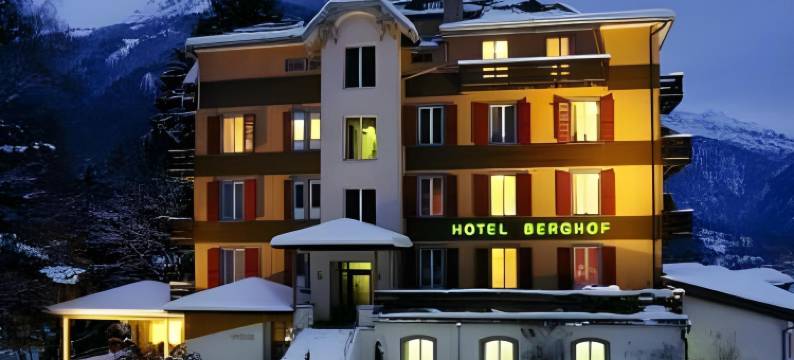 贝格霍夫酒店(Hotel Berghof Amaranth)图片