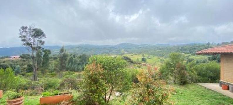 Mirkeland- Cabana图片