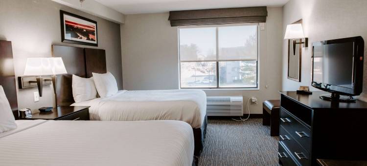 尚迪利/杜勒斯机场蔚景温德姆酒店(Wingate by Wyndham Chantilly / Dulles Airport)图片