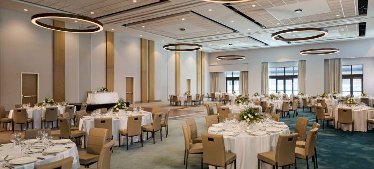 棕榈万豪度假村及水疗中心(Palmetto Marriott Resort & Spa)图片