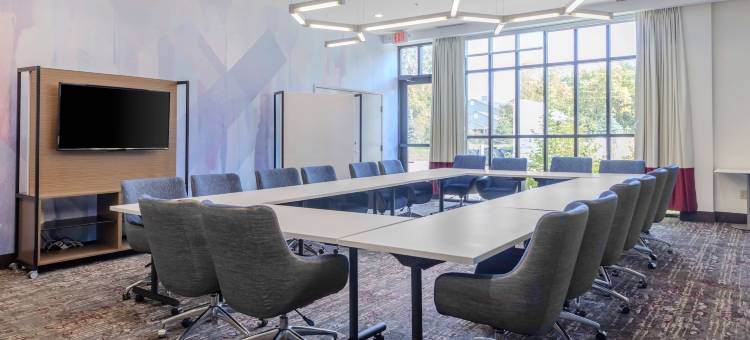 底特律尤蒂卡希尔顿花园旅馆(Hilton Garden Inn Detroit Utica)图片