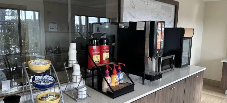 奥珀卢萨斯戴斯套房酒店(Days Inn & Suites by Wyndham Opelousas)图片