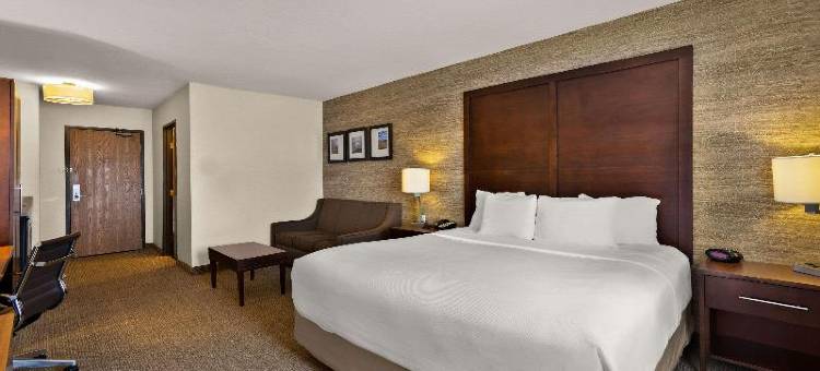 拉丁顿智选假日酒店(Comfort Inn Ludington Near US-10)图片