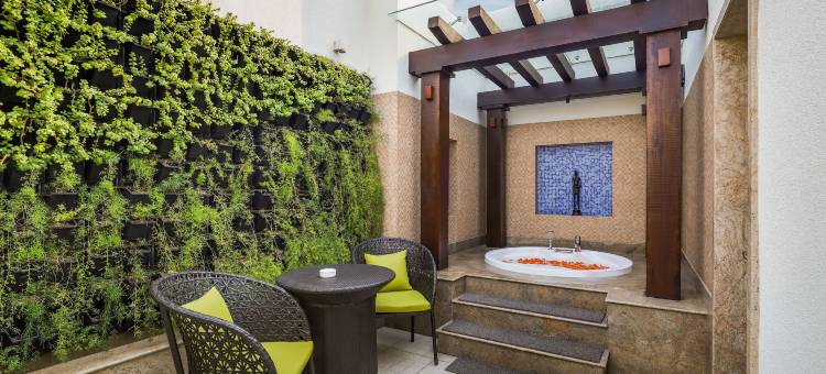 德里机场柠檬树酒店(Lemon Tree Premier, Delhi Airport)图片