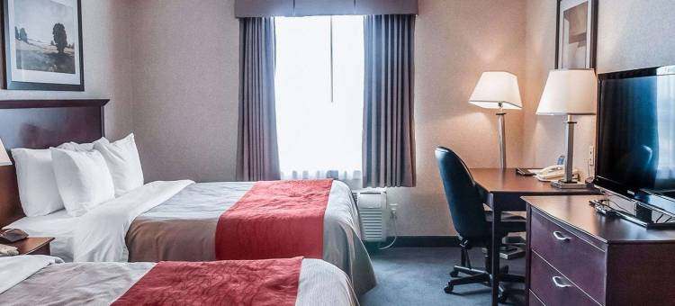 舒适酒店(Comfort Inn)图片