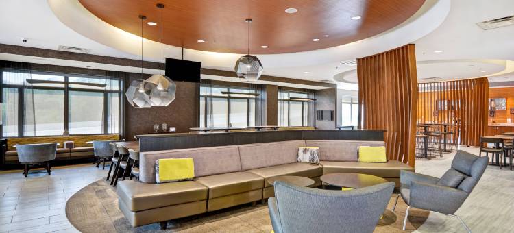 辛辛那提市中心区SpringHill Suites 酒店(SpringHill Suites Cincinnati Midtown)图片