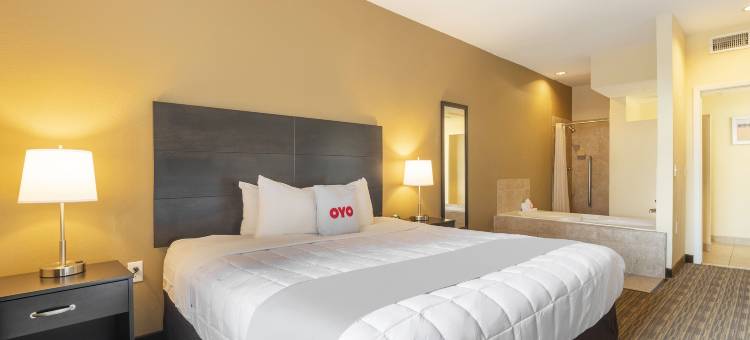 北休斯顿温德姆呗盟酒店(Baymont by Wyndham Houston North)图片