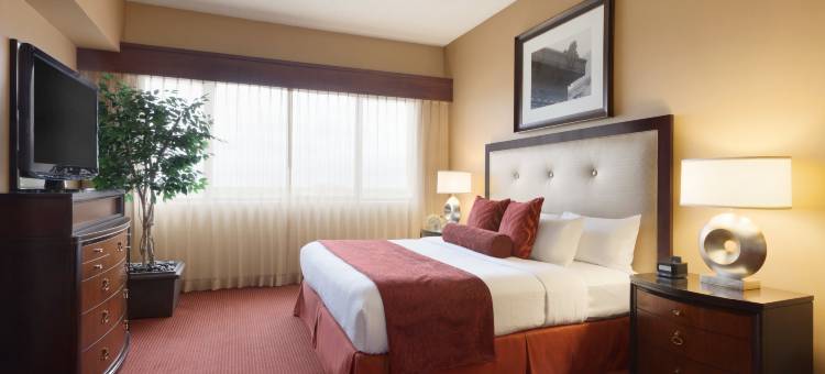 堪萨斯城国际机场希尔顿安泊酒店(Embassy Suites by Hilton Kansas City International Airport)图片