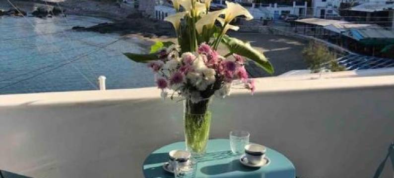 Apollon Sunrise图片