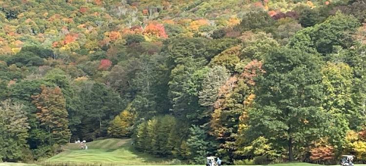 鹿林度假屋，步行可至滑雪道，留下美好回忆，传统山庄风格(WALK TO SLOPES.  Make memories at Deerwoods, a traditional Mountain Lodge.)图片