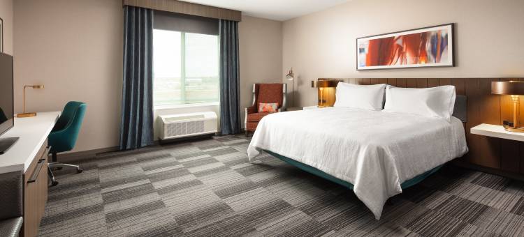 萨克拉门托机场纳托马斯希尔顿花园酒店(Hilton Garden Inn Sacramento Airport Natomas)图片