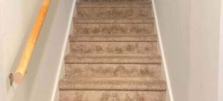 Delightful 4bdr/3bath Bay House图片