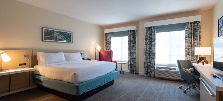 卡拉巴萨斯希尔顿花园酒店(Hilton Garden Inn Calabasas)图片