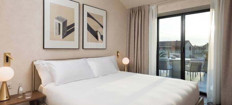 特雷维主人(master Trevi)图片