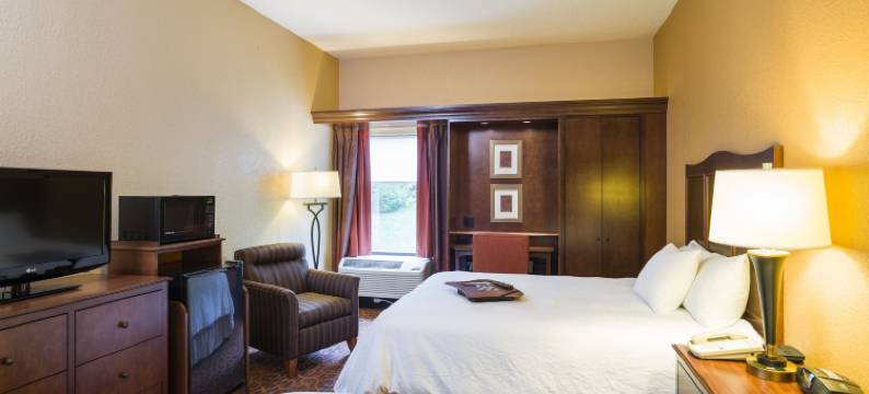 锡林斯格罗夫/沙莫金大坝希尔顿欢朋酒店(Hampton Inn Selinsgrove/Shamokin Dam)图片