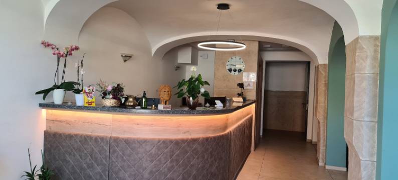 维特尔斯巴赫酒店(Hotel Wittelsbacher Hof)图片