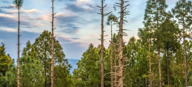 TRH埃库斯公寓(TRH Ekuketh)图片