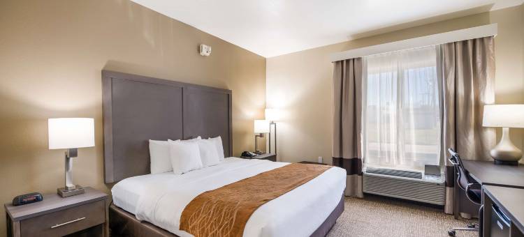 舒适酒店(Comfort Inn)图片