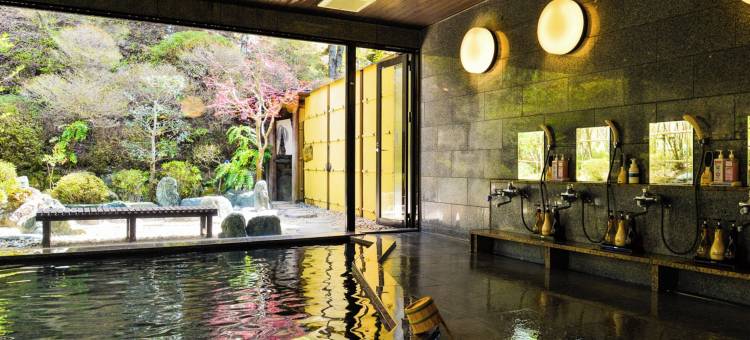 奥天龙不动温泉 佐和屋(Fudouonsen Sawaya)图片