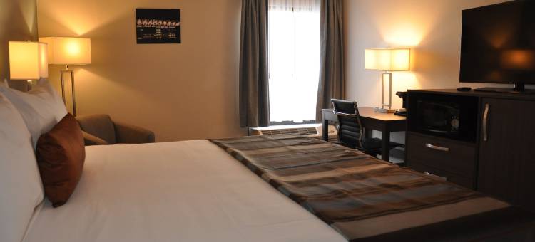 奥兰多诺比尔庆典镇帕克韦酒店(Nobile Hotel Parkway at Celebration Orlando)图片