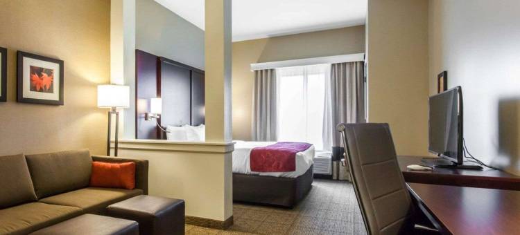 舒适套房酒店-扬斯敦北(Comfort Suites-Youngstown North)图片