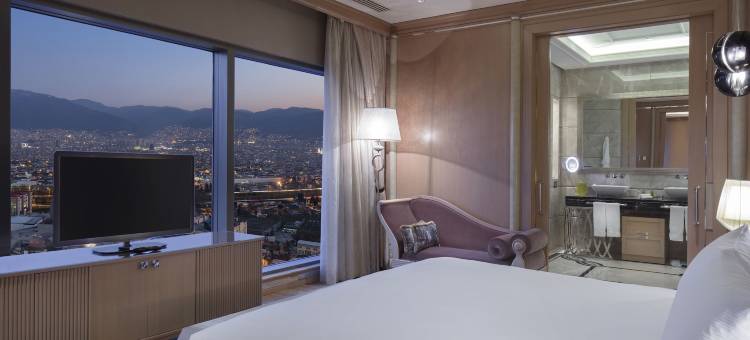 布尔萨会议中心希尔顿水疗酒店(Hilton Bursa Convention Center & Spa)图片