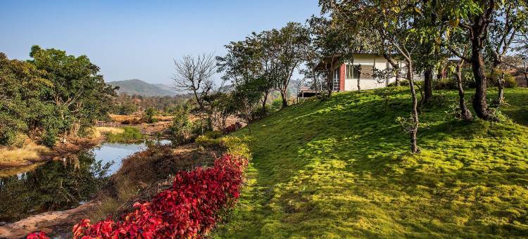 星宿偷懒河边小屋(CosmicStays Lazy River Cottage-Stargazers Paradise)图片