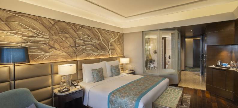 新德里利拉格调会议酒店(The Leela Ambience Convention Hotel Delhi)图片