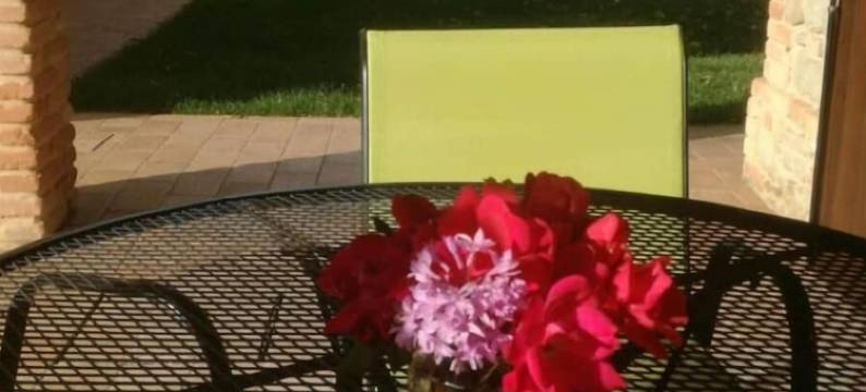 拉维奇亚丰堤农庄酒店(Agriturismo la Vecchia Fonte)图片