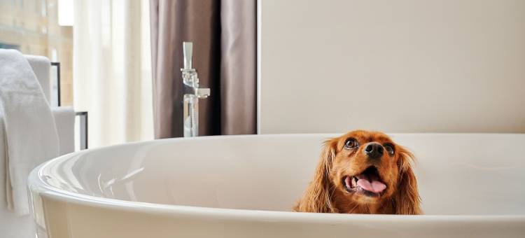 纽卡斯尔怡思得美利亚(INNSiDE by Melia )酒店(Innside by Melia Newcastle)图片