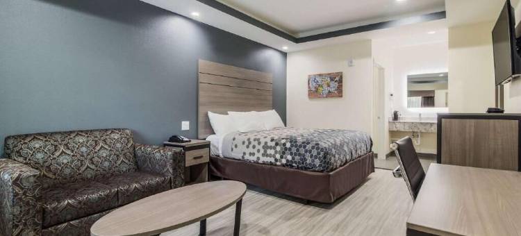休斯顿国际机场经济旅馆套房酒店(Econo Lodge Inn & Suites Humble FM1960 - IAH Airport)图片