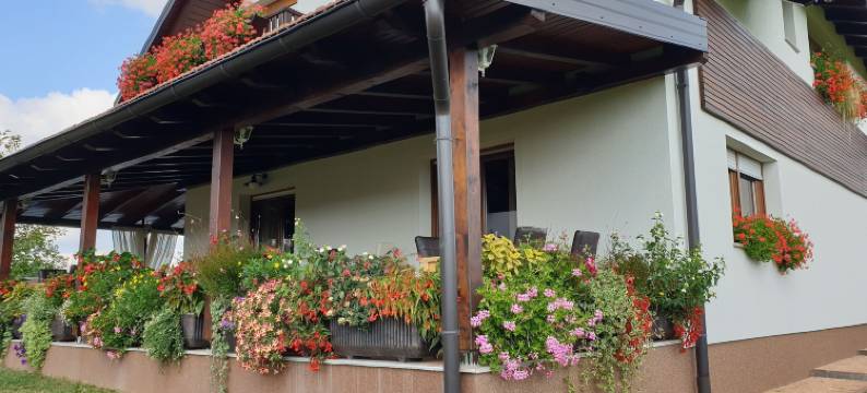 缇纳酒店(House Tina)图片