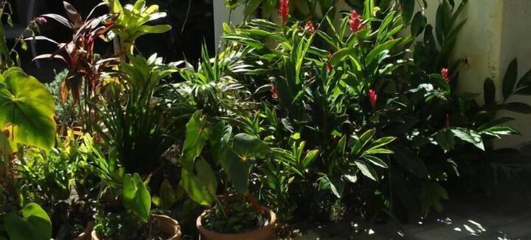 奥托彭丁哈旅馆(Pousada Alto da Pontinha)图片