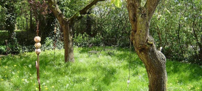 加尔尼戈登霍夫酒店(Hotel Garni Godenhof)图片