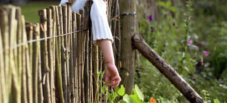 尼可洛斯特斯看见酒店(Seehotel am Neuklostersee)图片