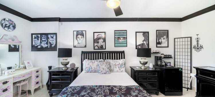 巴巴多斯隐藏宝石(Hidden Gem Barbados)图片