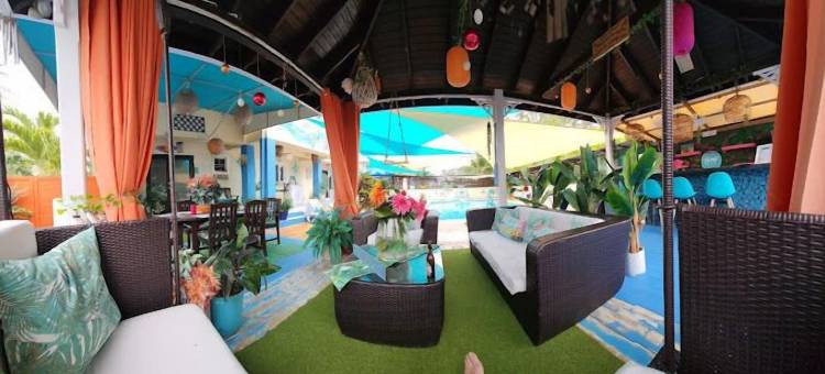 巴巴多斯隐藏宝石(Hidden Gem Barbados)图片