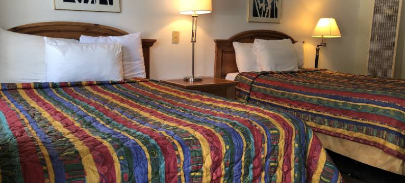 雪松酒店及套房(Cedar Inn & Suites)图片