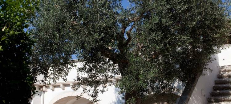 拉索米塔雷拉斯酒店(La Sommità Relais & Chateaux)图片