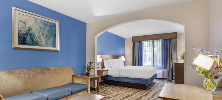 河流逃生贝斯特韦斯特优质套房酒店(Best Western Plus River Escape Inn  Suites)图片