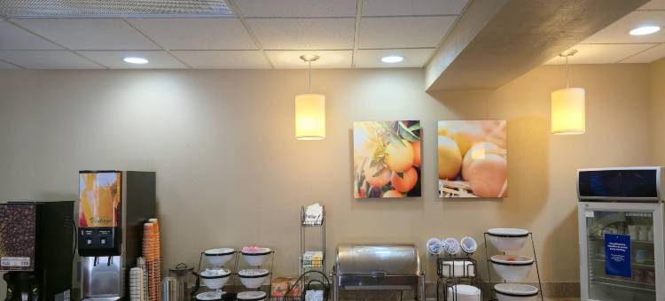 格拉夫顿锡达堡舒适套房酒店(Comfort Inn & Suites Grafton-Cedarburg)图片