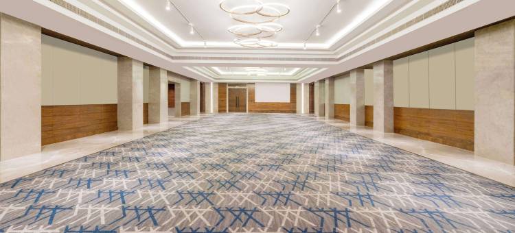 丽笙酒店弗林达文(Radisson Hotel Vrindavan)图片