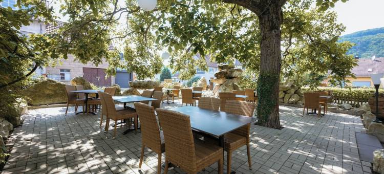 Plein酒店(Altes Kelterhaus & Plein Hotel by Markus Plein)图片