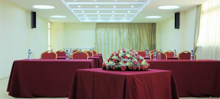 蓝鸟国际酒店(Blue Birds International Hotel)图片