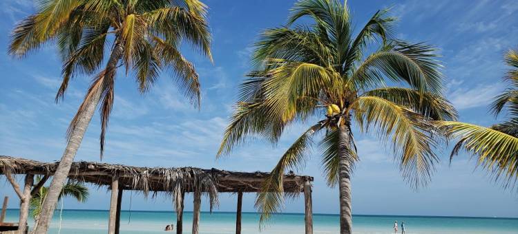 博霍尼托酒店霍尔博克斯(Hotel Bohonito Holbox)图片