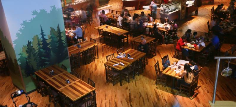 阿纳海姆大狼屋酒店(Great Wolf Lodge Southern California)图片