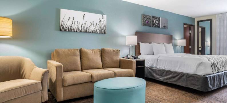 近威斯切斯舒眠套房酒店(Sleep Inn & Suites Near Westchase)图片