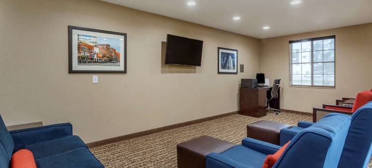 舒适套房酒店(Comfort Suites)图片