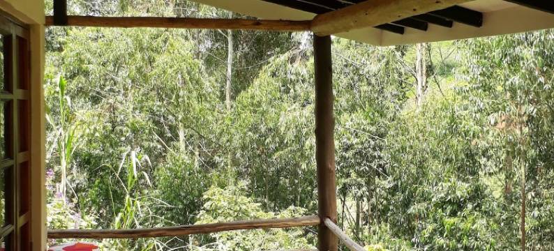 凯玛凯亚茶之小屋饭店(Kimakia Tea Cottages)图片