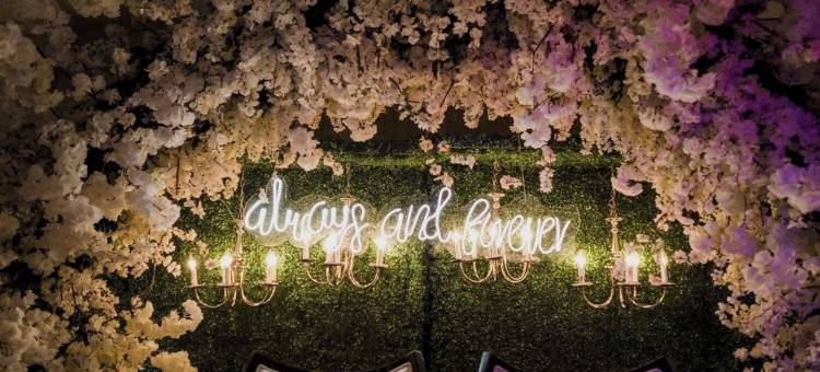 科隆广场商务酒店(Hotel Colón Plaza Business Class)图片